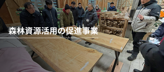 森林資源活用の促進事業